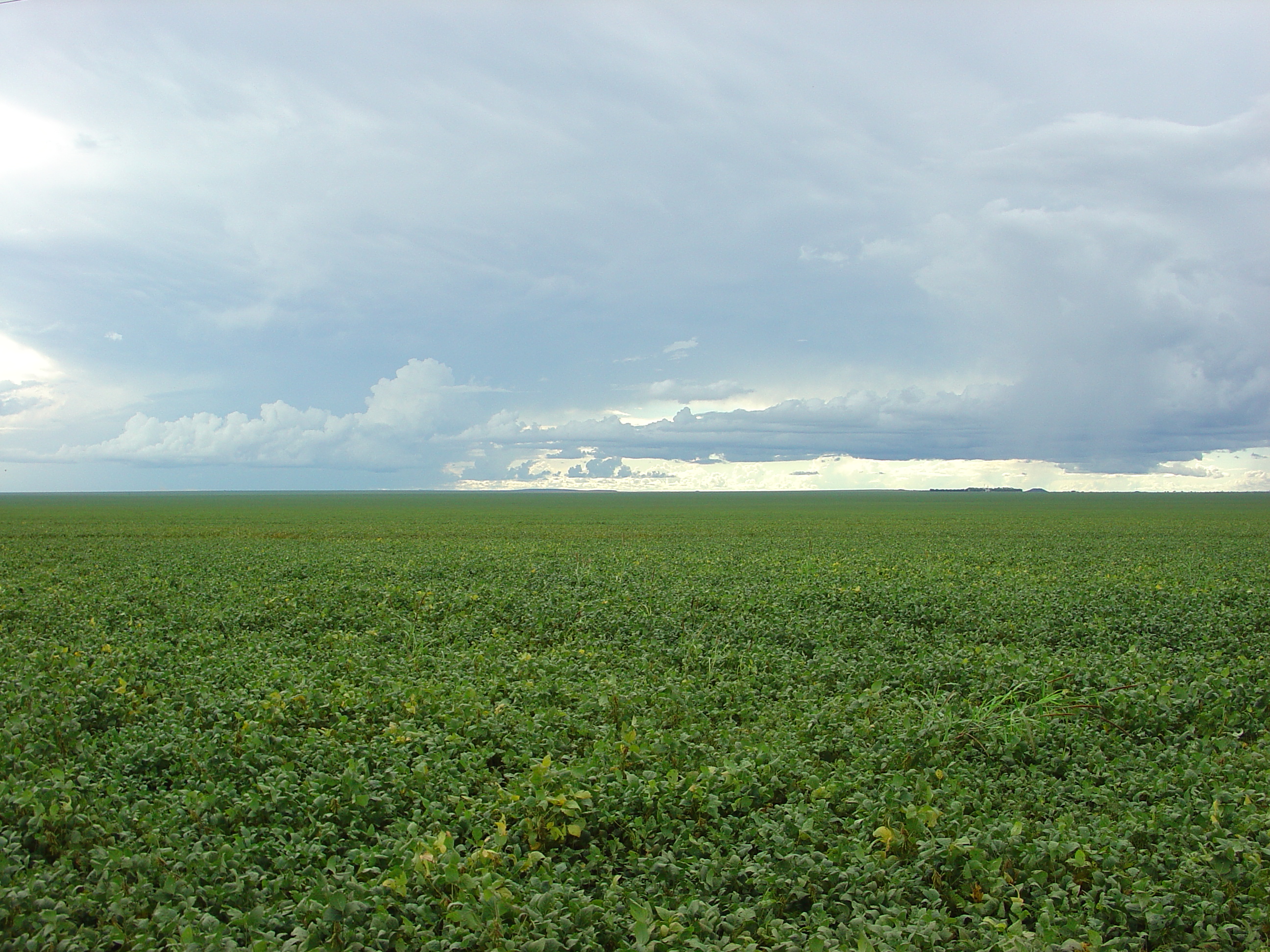FMC apresenta iniciativas do Projeto Soja no Dia de Campo Verão 